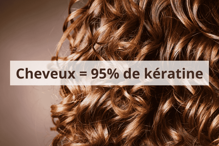 Keratine: une protéine fibreuse constituée de 18 acides amines et principal composant des cheveux